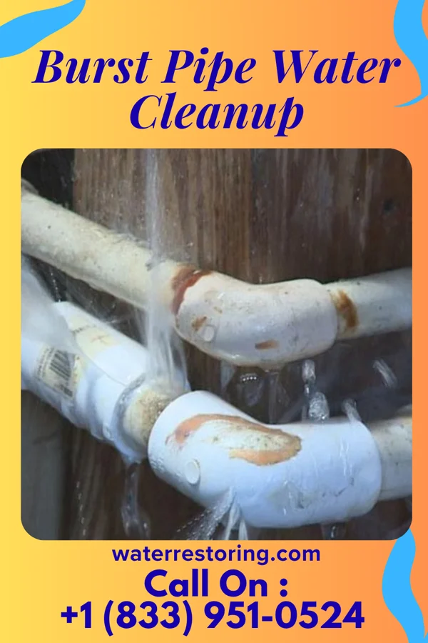Burst Pipe Water Cleanup in Llewellyn Park, NJ