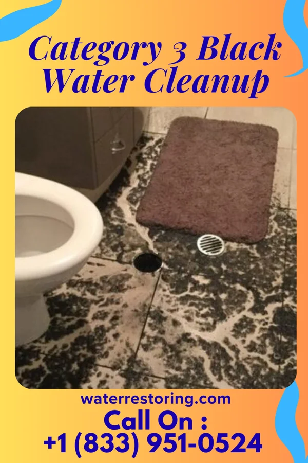Category 3 Black Water Cleanup in Llewellyn Park, NJ