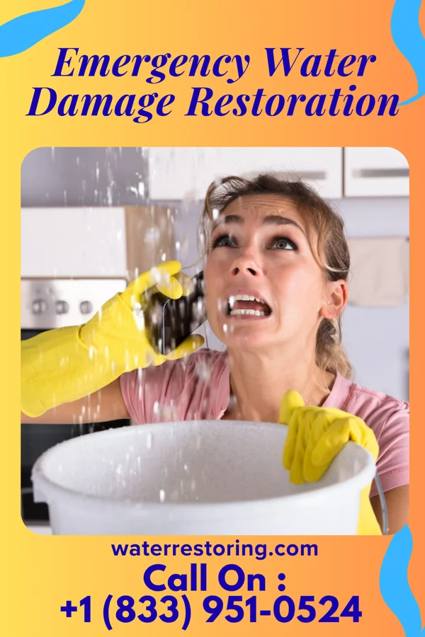 Emergency Water Damage Restoration in Llewellyn Park, NJ