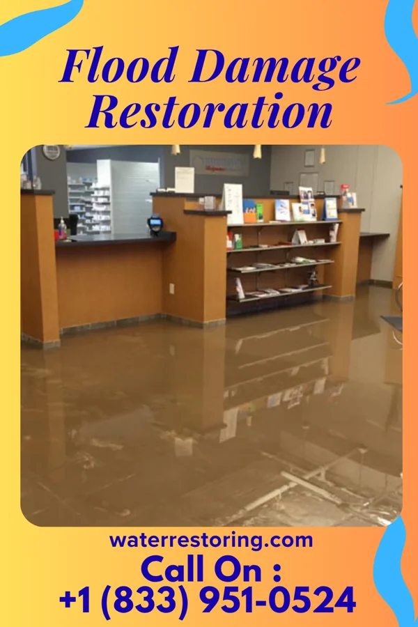 Flood Damage Restoration in Llewellyn Park, NJ