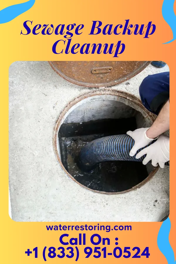 Sewage Backup Cleanup in Llewellyn Park, NJ