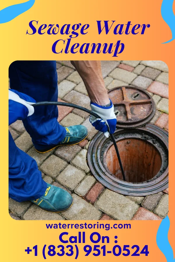 Sewage Water Cleanup in Llewellyn Park, NJ