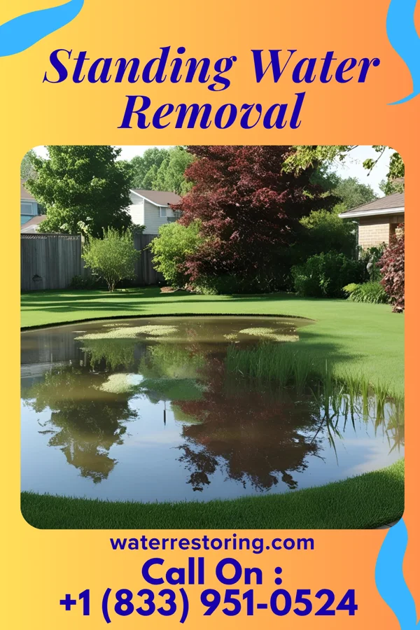 Standing Water Removal in Llewellyn Park, NJ